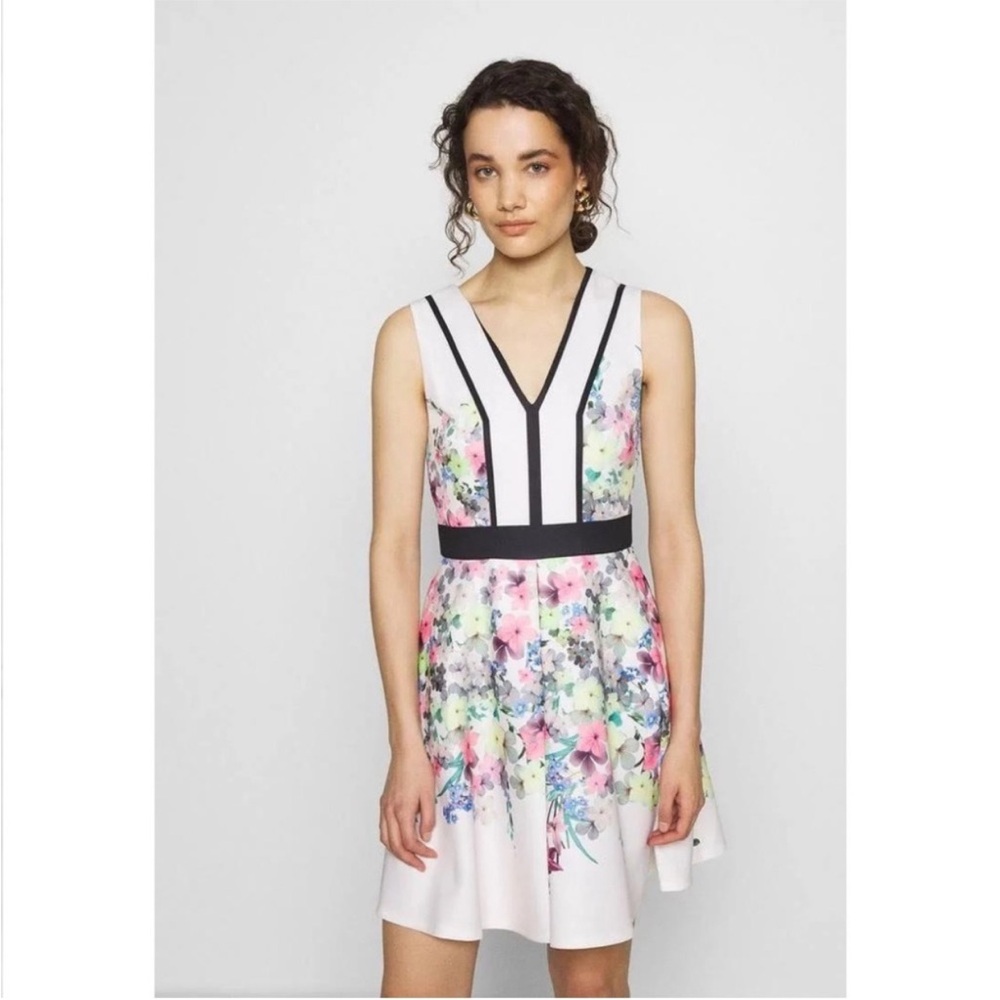 Ted Baker Pergola Printed Paneled Skater Dress